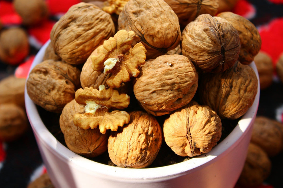 walnut