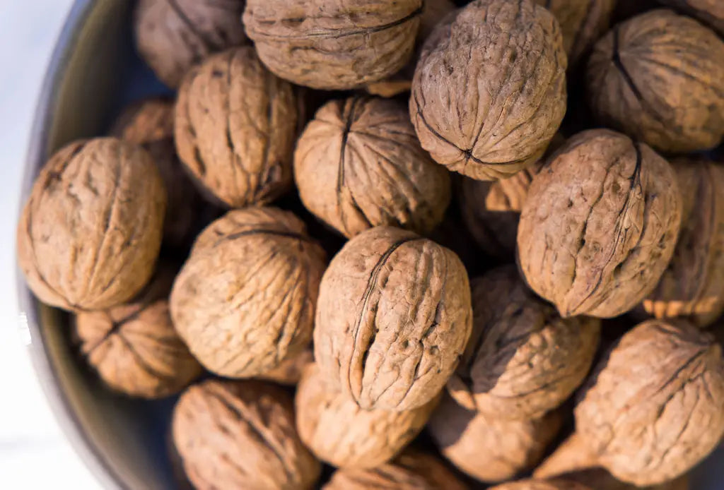 Harvest Valley Walnuts in the shell 