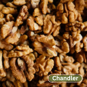Bulk Raw Chandler Walnuts - 25 lb